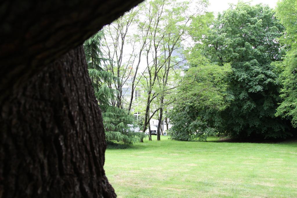 Chateau Du Bois De La Noe Bouaye ภายนอก รูปภาพ