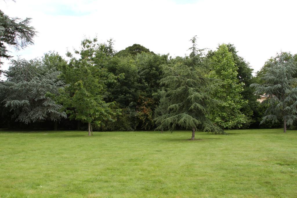 Chateau Du Bois De La Noe Bouaye ภายนอก รูปภาพ