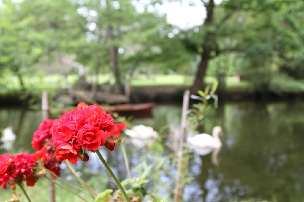 Chateau Du Bois De La Noe Bouaye ภายนอก รูปภาพ
